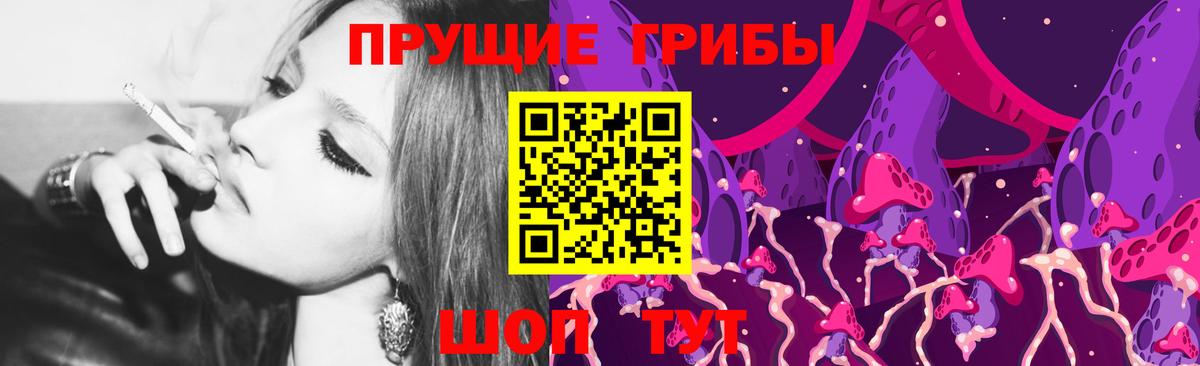 Псилоцибиновые грибы Cubensis Чистополь
